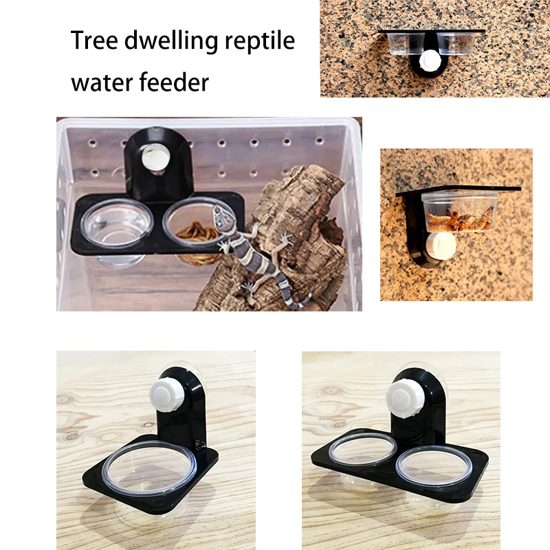 Pet Supplies Is Food - ถังสัตว์เลื้อยคลานอุปกรณ์เสริมแมลงแมงมุมมด Nest งูตุ๊กแกอาหารชามให้อาหาร Terrarium Breeding Feeders