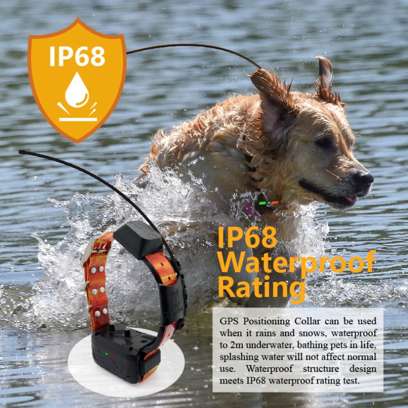 Pet Supplies Login - ตัวจัดการรั้ว GPS สำหรับสุนัขในองค์กร: กำหนดพิกัดขอบเขตได้เอง + แจ้งเตือนการหลบหนีแบบป๊อปอัพ