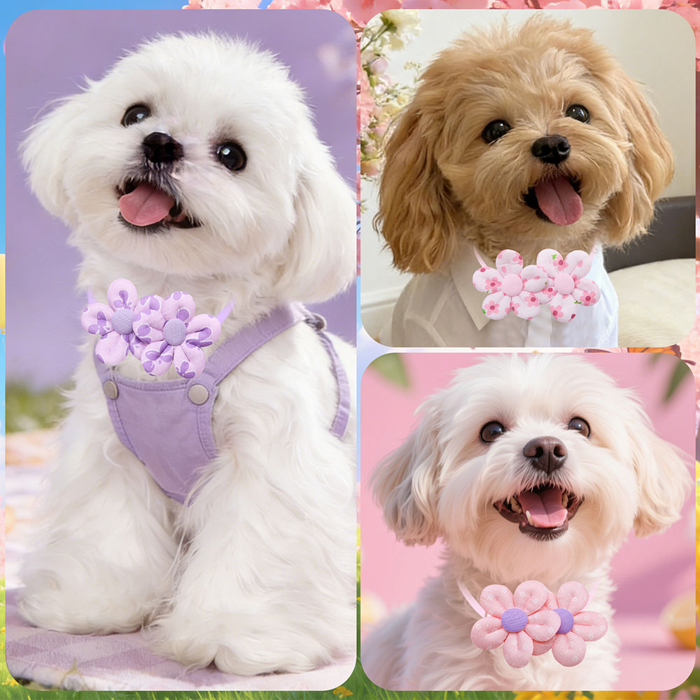 โบว์ผูกคอรูปดอกไม้ 10 ชิ้น สำห - Pet Supplies Coupon บทวิจารณ์และราคา