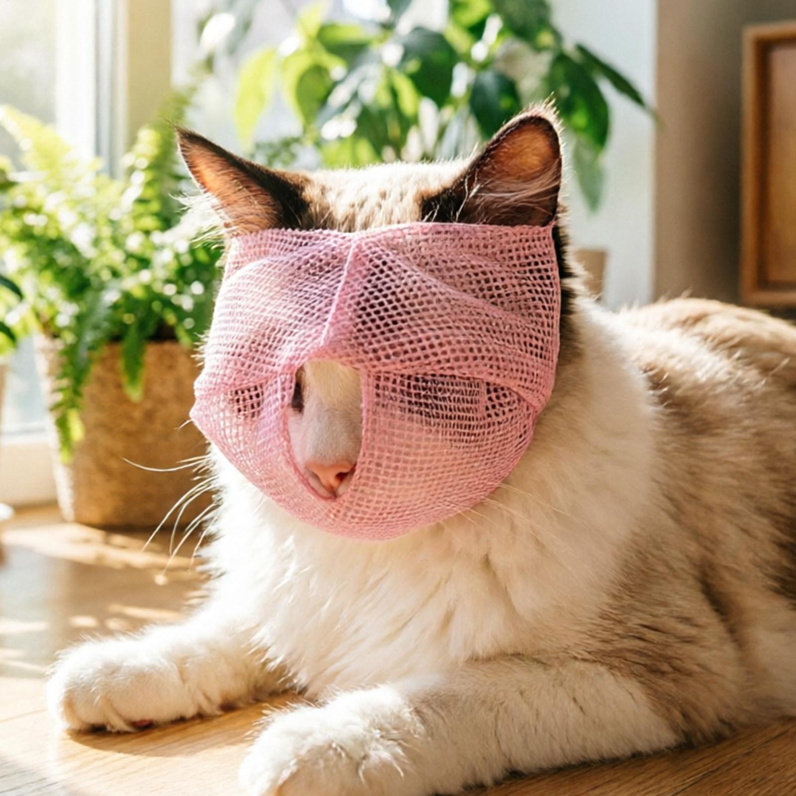 ตะกร้อครอบปากแมว ตาข่ายระบายอา - Pet Supplies Vet บทวิจารณ์และราคา