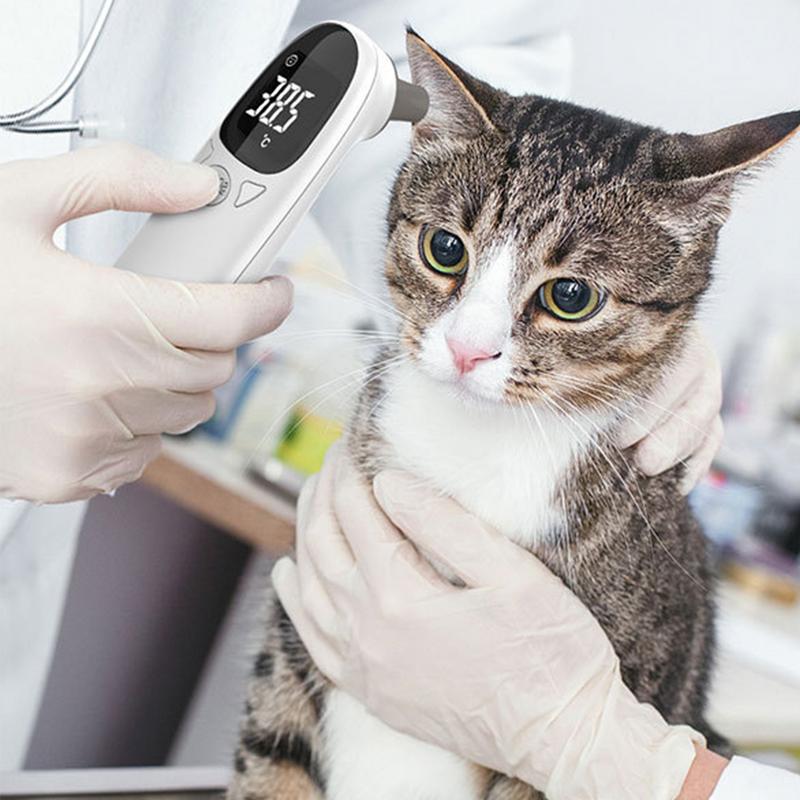 เครื่องวัดอุณหภูมิสัตว์เลี้ยงส - Pet Supplies Vet บทวิจารณ์และราคา