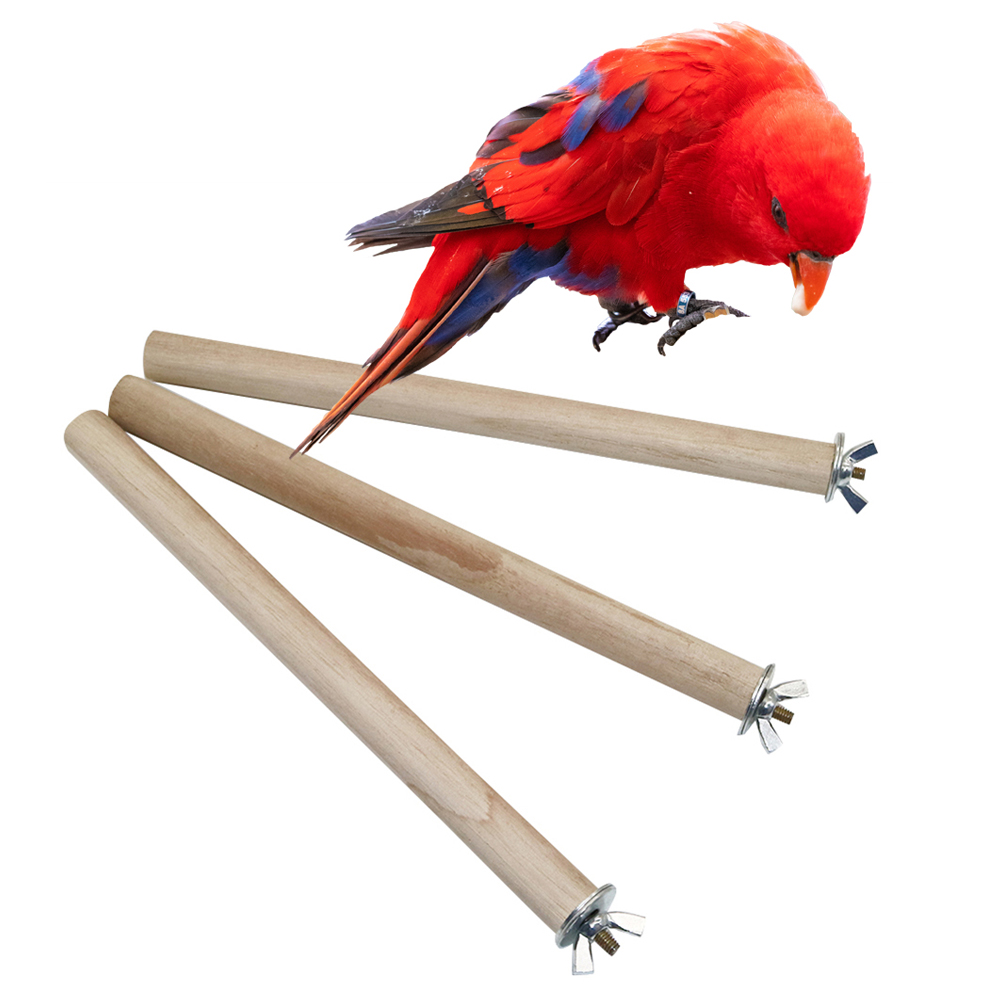 1 Pc นกแก้ว Pigeon สัตว์เลี้ยง - Pet Supplies Login บทวิจารณ์และราคา