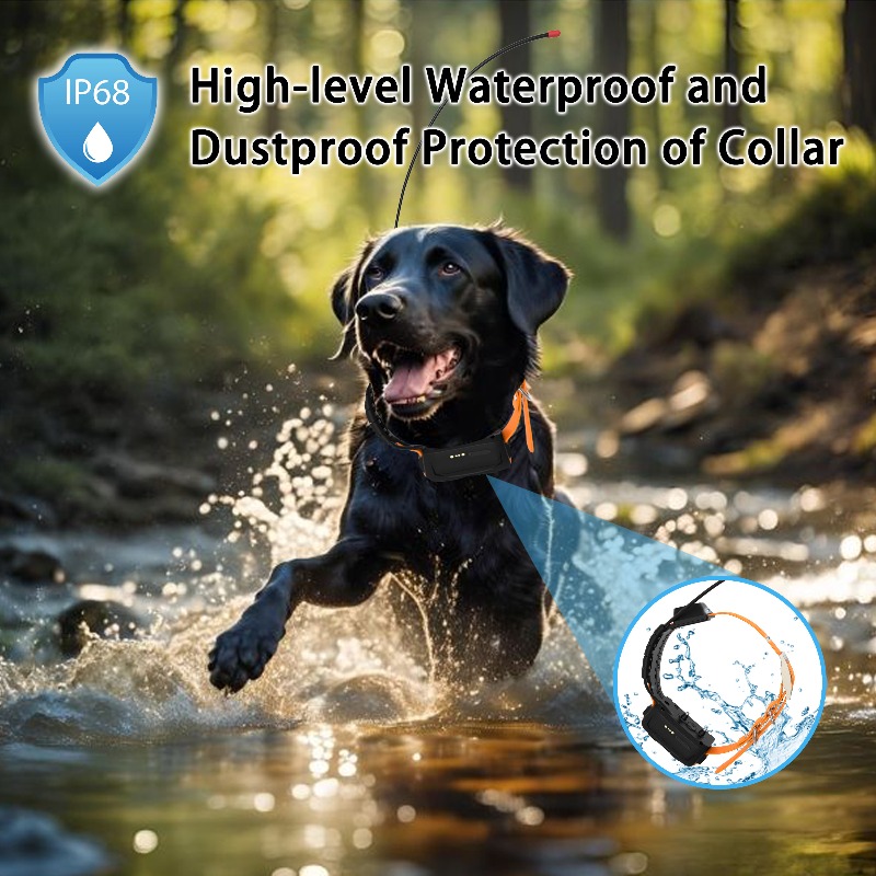 เครื่องติดตามสุขภาพสุนัขด้วย G - Pet Supplies Login บทวิจารณ์และราคา