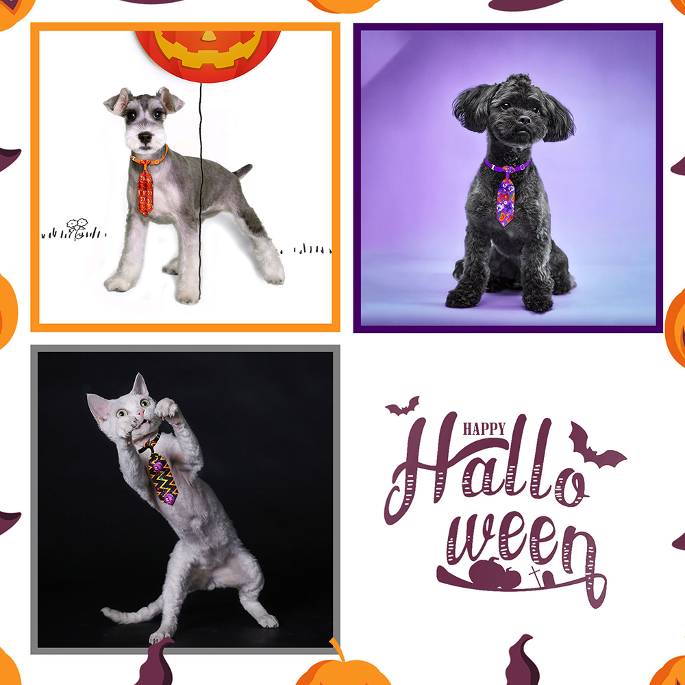 50/100pcs ฮาโลวีนสุนัขกรูมมิ่ง - Pet Supplies Coupon บทวิจารณ์และราคา