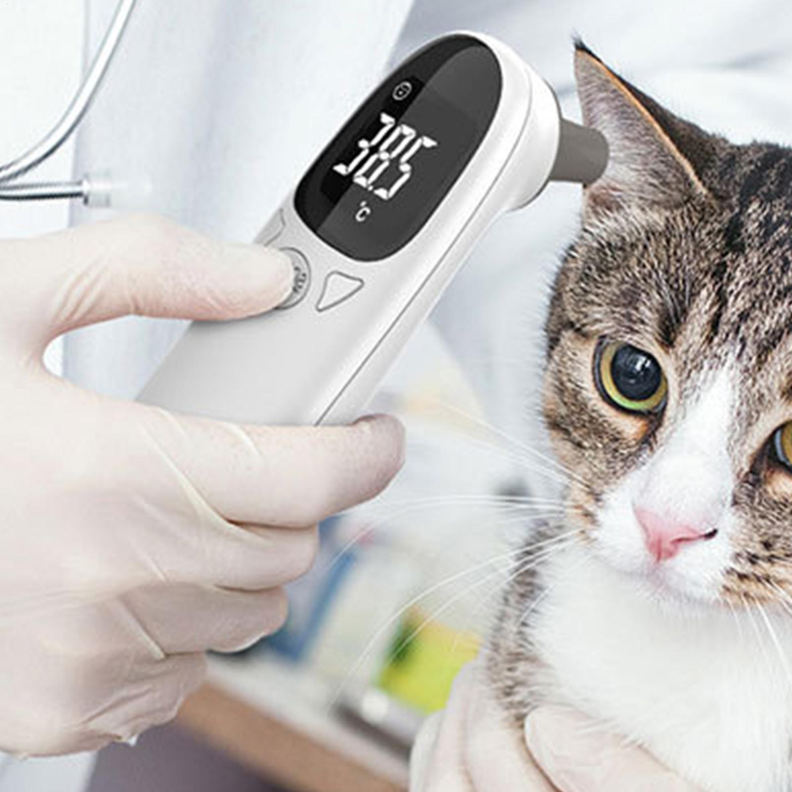 เครื่องวัดอุณหภูมิหูสุนัขและแม - Pet Supplies Vet บทวิจารณ์และราคา