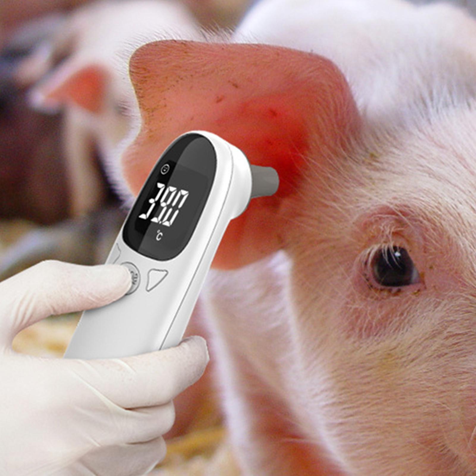 เครื่องวัดอุณหภูมิหูสุนัขและแม - Pet Supplies Vet บทวิจารณ์และราคา