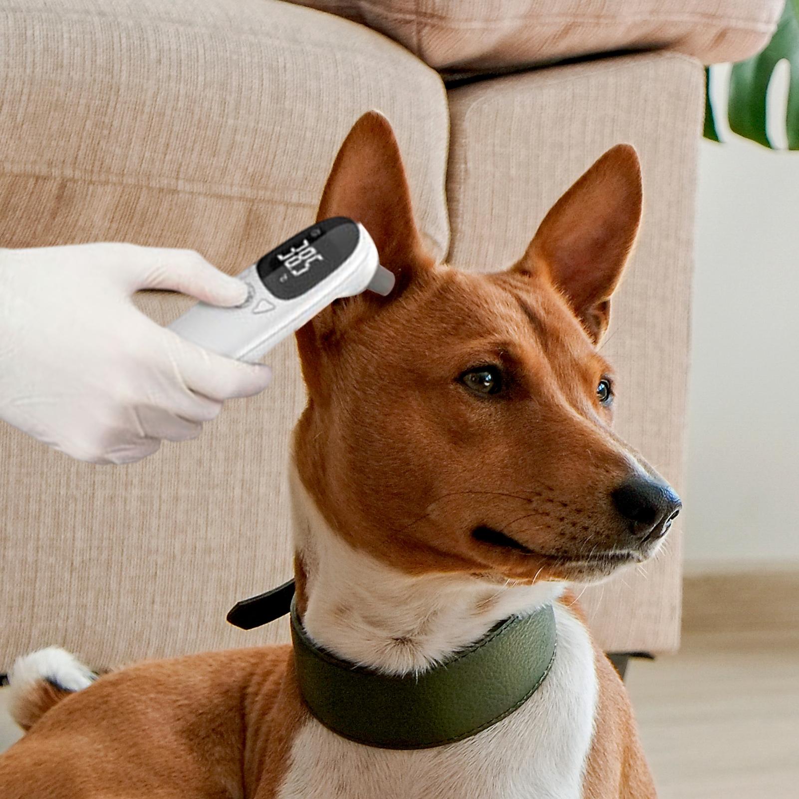 เครื่องวัดอุณหภูมิหูสุนัขและแม - Pet Supplies Vet บทวิจารณ์และราคา