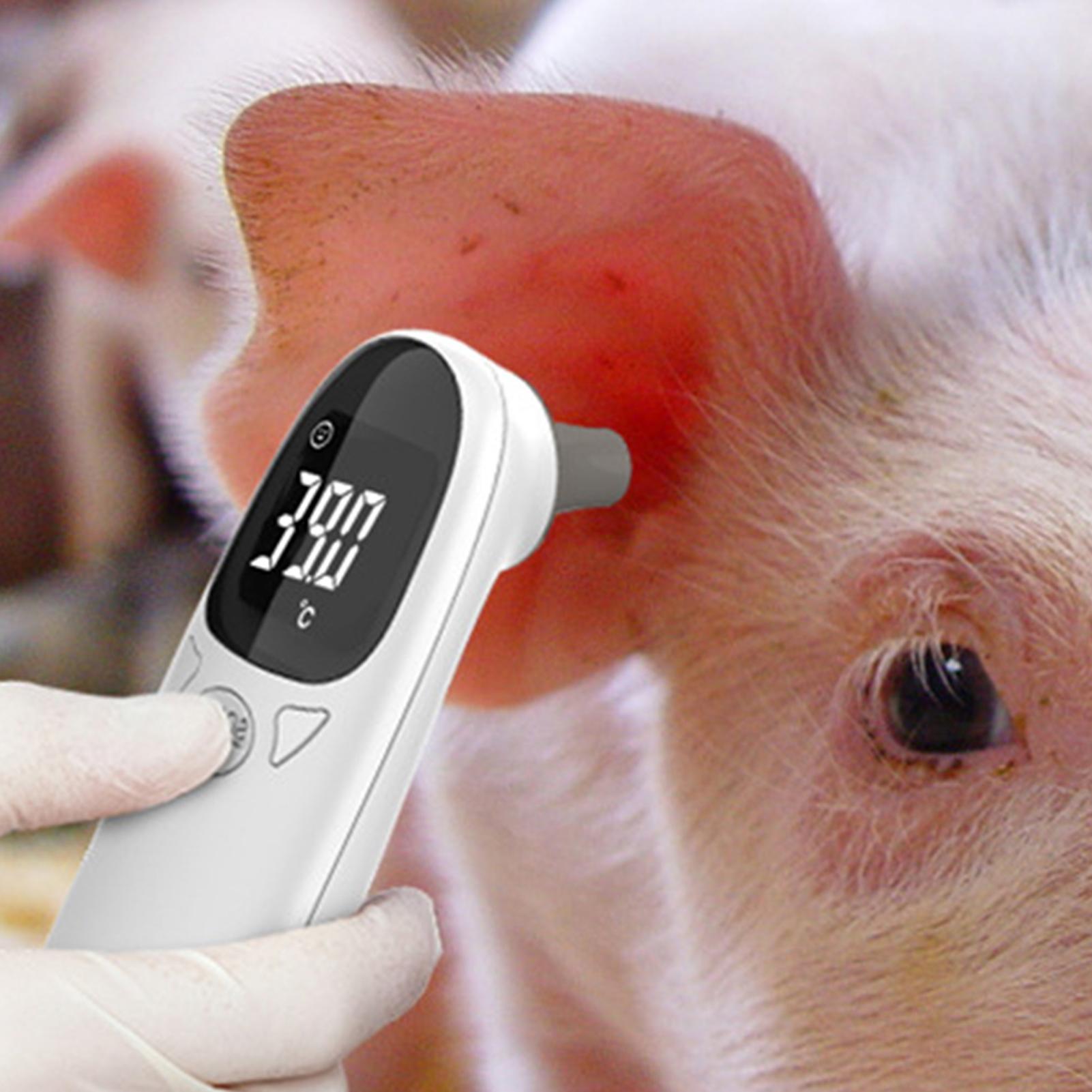 เครื่องวัดอุณหภูมิหูสุนัขและแม - Pet Supplies Vet บทวิจารณ์และราคา