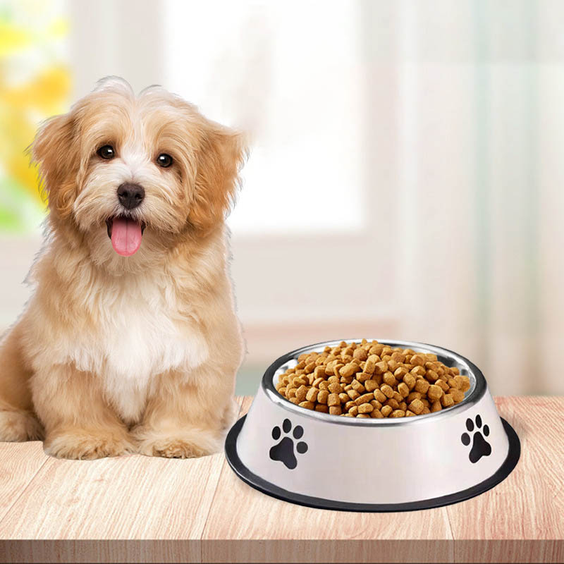 ชามสแตนเลสสำหรับสัตว์เลี้ยง ชา - Pet Supplies Coupon บทวิจารณ์และราคา