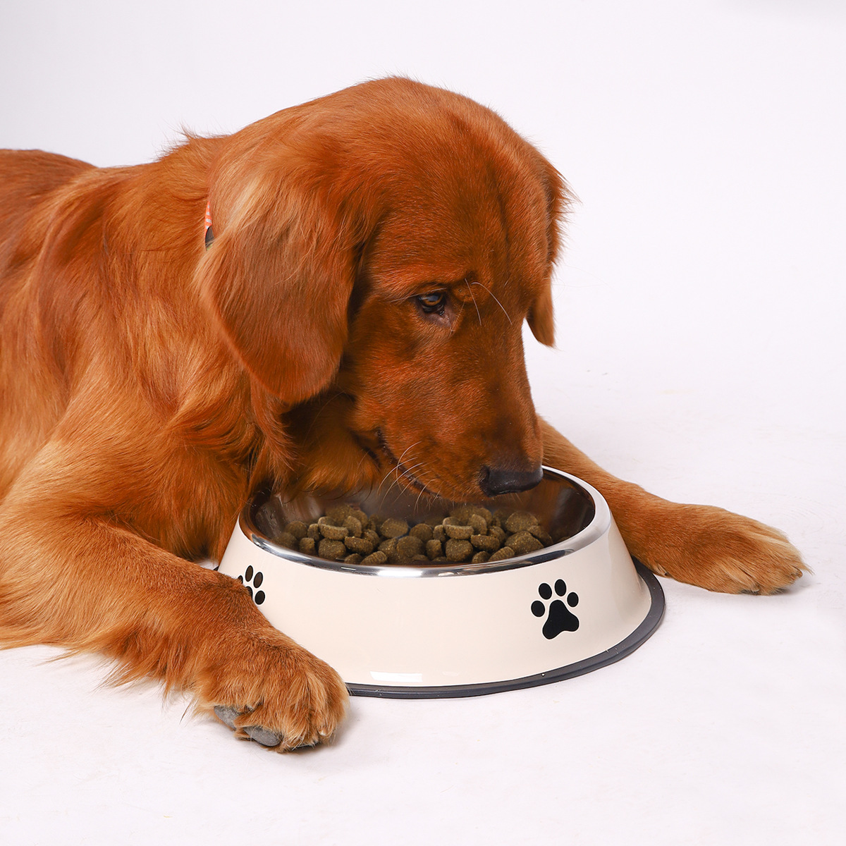 ชามสแตนเลสสำหรับสัตว์เลี้ยง ชา - Pet Supplies Coupon บทวิจารณ์และราคา