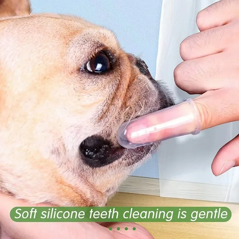 แปรงสีฟันนิ้วสำหรับสัตว์เลี้ยง - Pet Supplies Is Food บทวิจารณ์และราคา