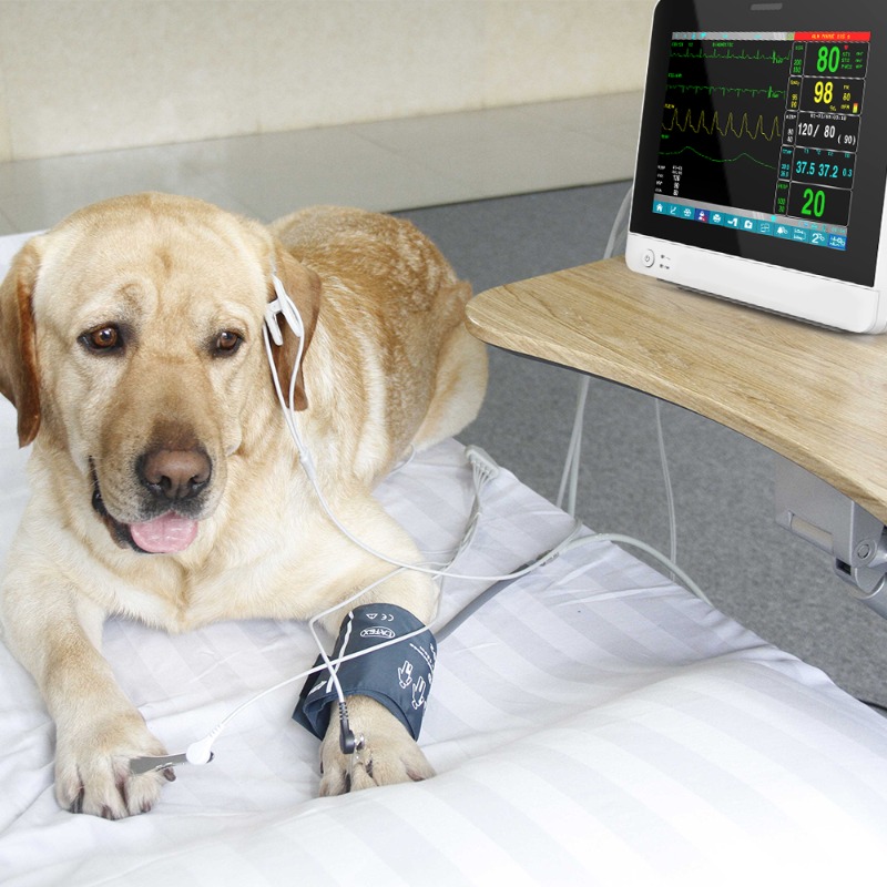 เครื่องตรวจวัดสัญญาณชีพสัตว์เล - Pet Supplies Vet บทวิจารณ์และราคา
